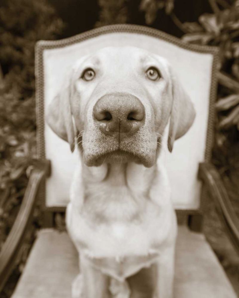 Sitting art print by Jim Dratfield for $57.95 CAD