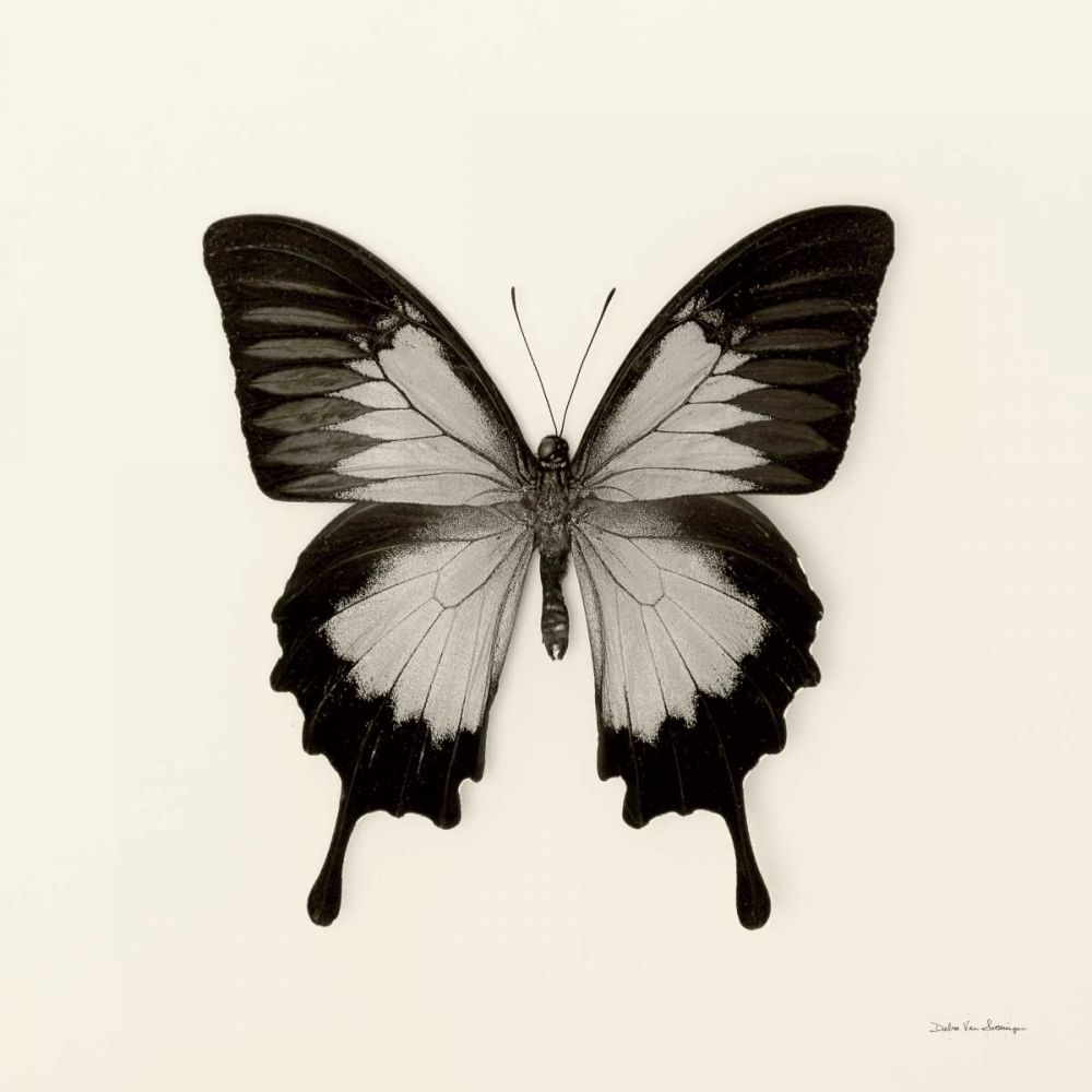Butterfly III BW Crop art print by Debra Van Swearingen for $57.95 CAD