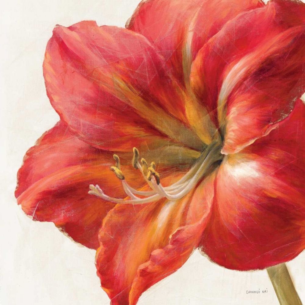 Vivid Amaryllis art print by Danhui Nai for $57.95 CAD