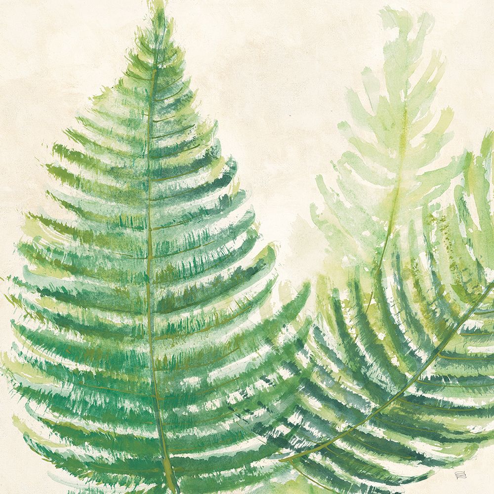 Ferns Square III v2 on Cream art print by Chris Paschke for $57.95 CAD