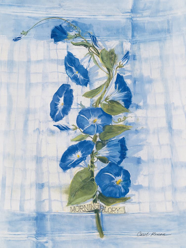 Morning Glory on Linen art print by Carol Rowan for $57.95 CAD
