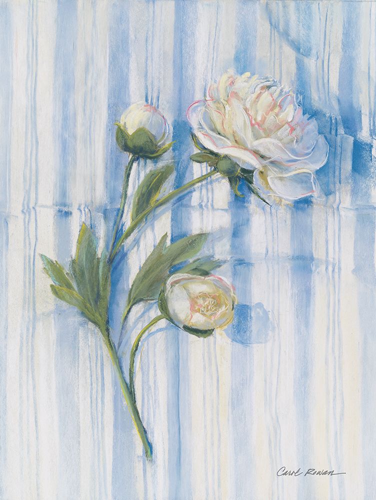 Peony on Blue Stripe art print by Carol Rowan for $57.95 CAD