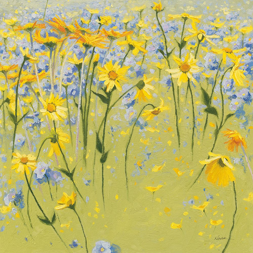 Joyful In July II art print by Shirley Novak for $57.95 CAD