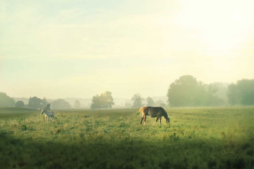 Farm Morning I Square art print by Sue Schlabach for $57.95 CAD