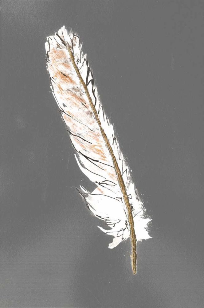 Gold Feathers II on Grey art print by Chris Paschke for $57.95 CAD