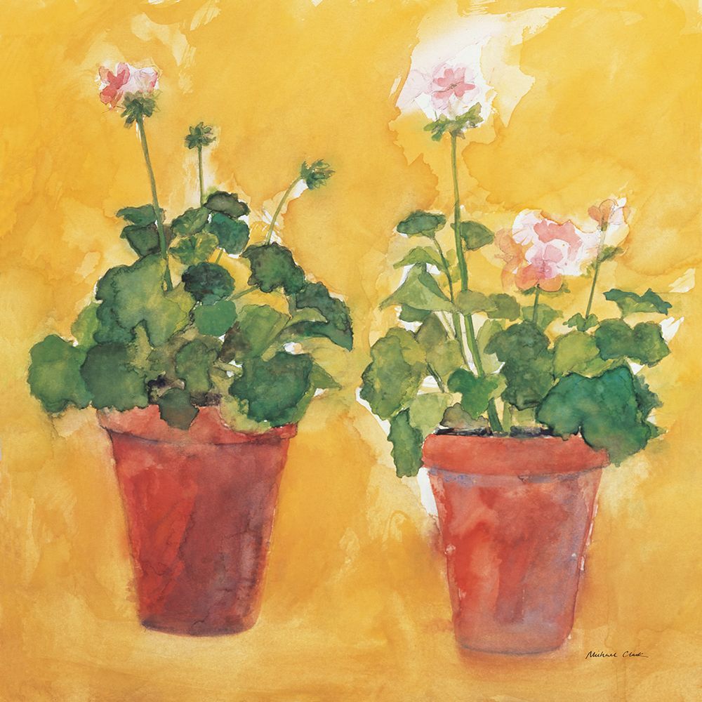 Pelargoniums art print by Michael Clark for $57.95 CAD