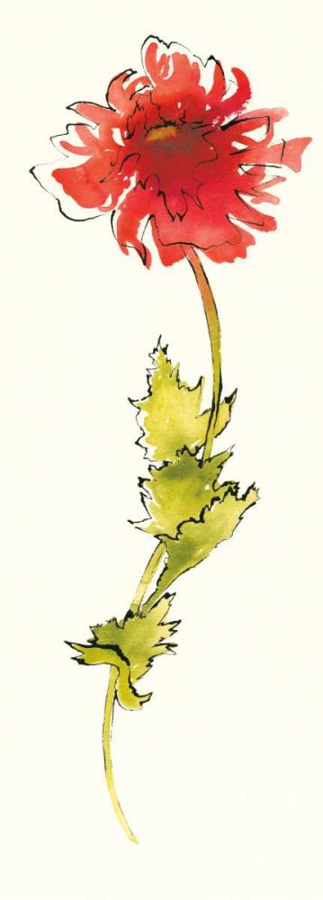 Peony Form Poppies II art print by Shirley Novak for $57.95 CAD