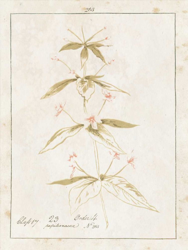 Flowers on White III with Words art print by Wild Apple Portfolio for $57.95 CAD