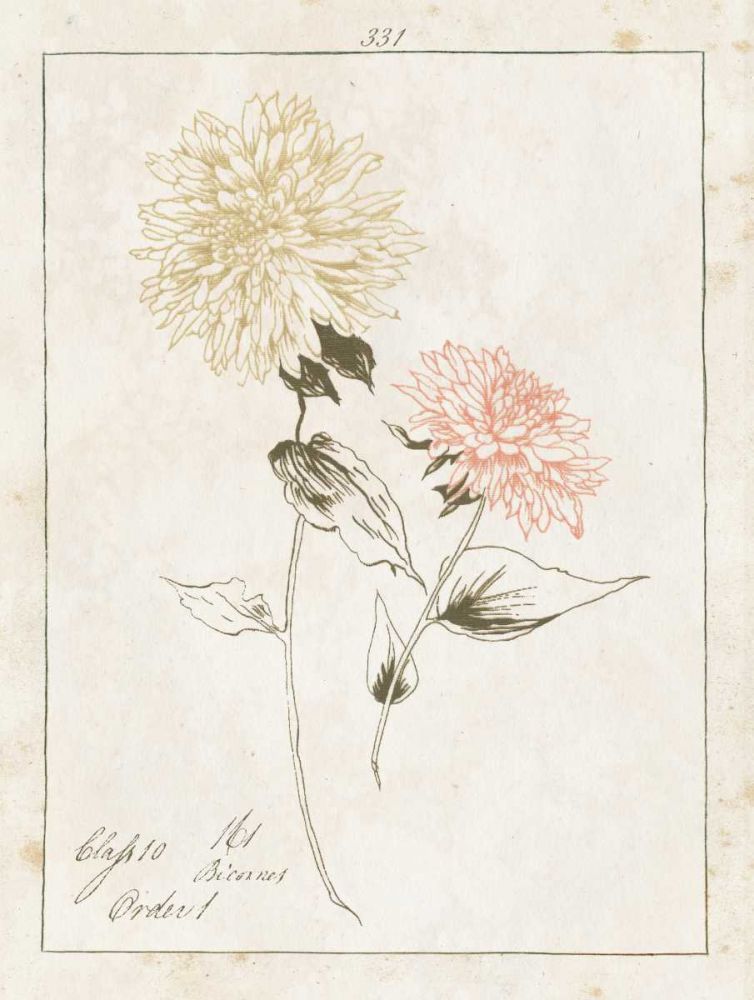Flowers on White IV with Words art print by Wild Apple Portfolio for $57.95 CAD