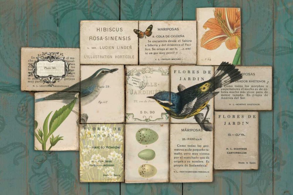 Birds of the Garden art print by Sue Schlabach for $57.95 CAD