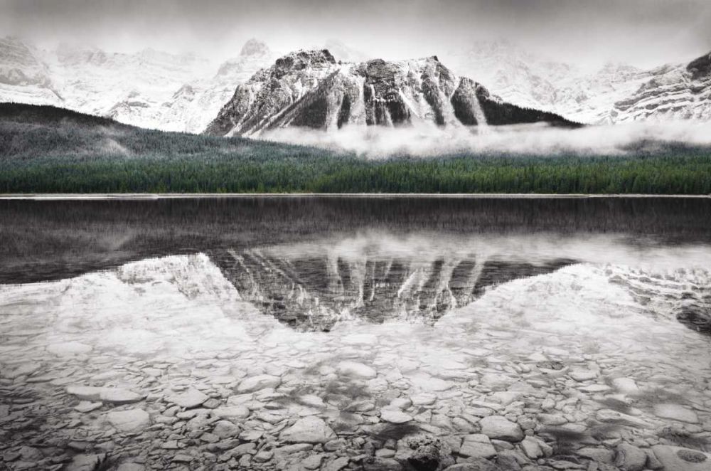 Waterfowl Lake I BW with Color art print by Lisa Audit for $57.95 CAD