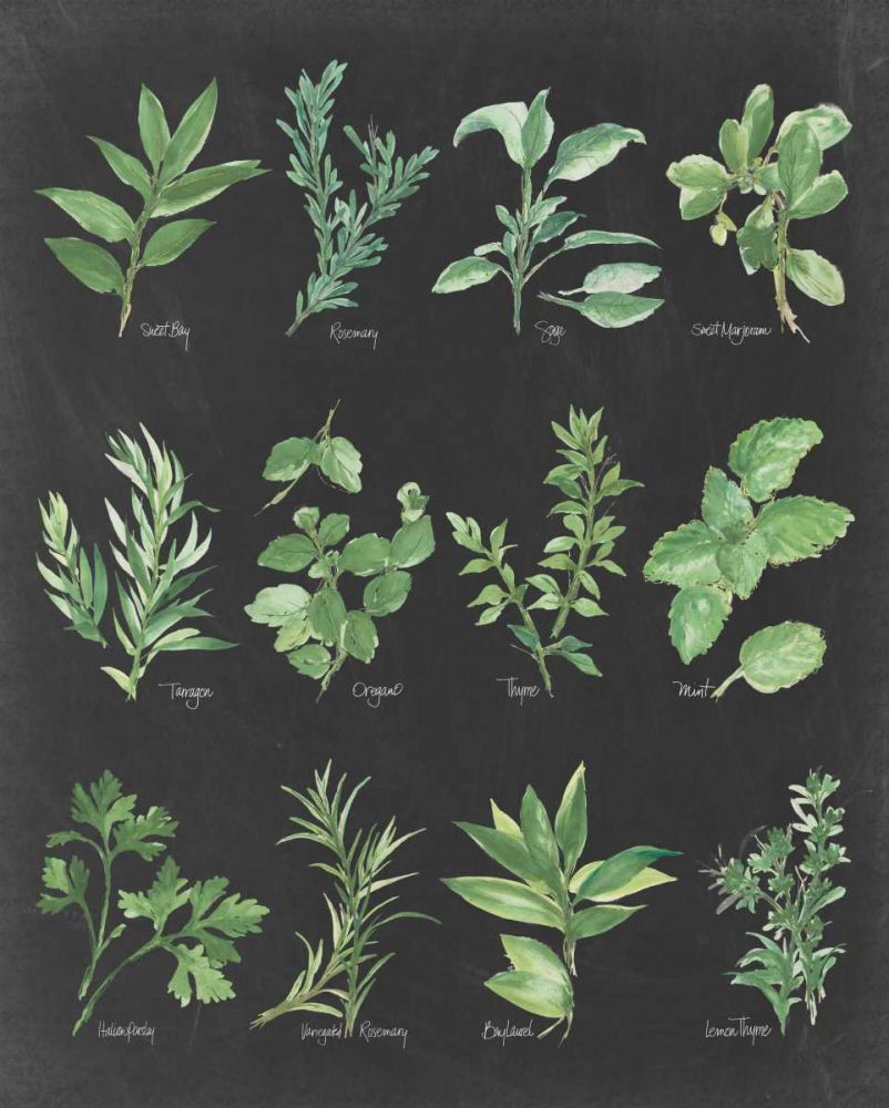 Herb Chart on Black art print by Chris Paschke for $57.95 CAD