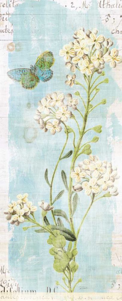 Botany Blue III art print by Sue Schlabach for $57.95 CAD
