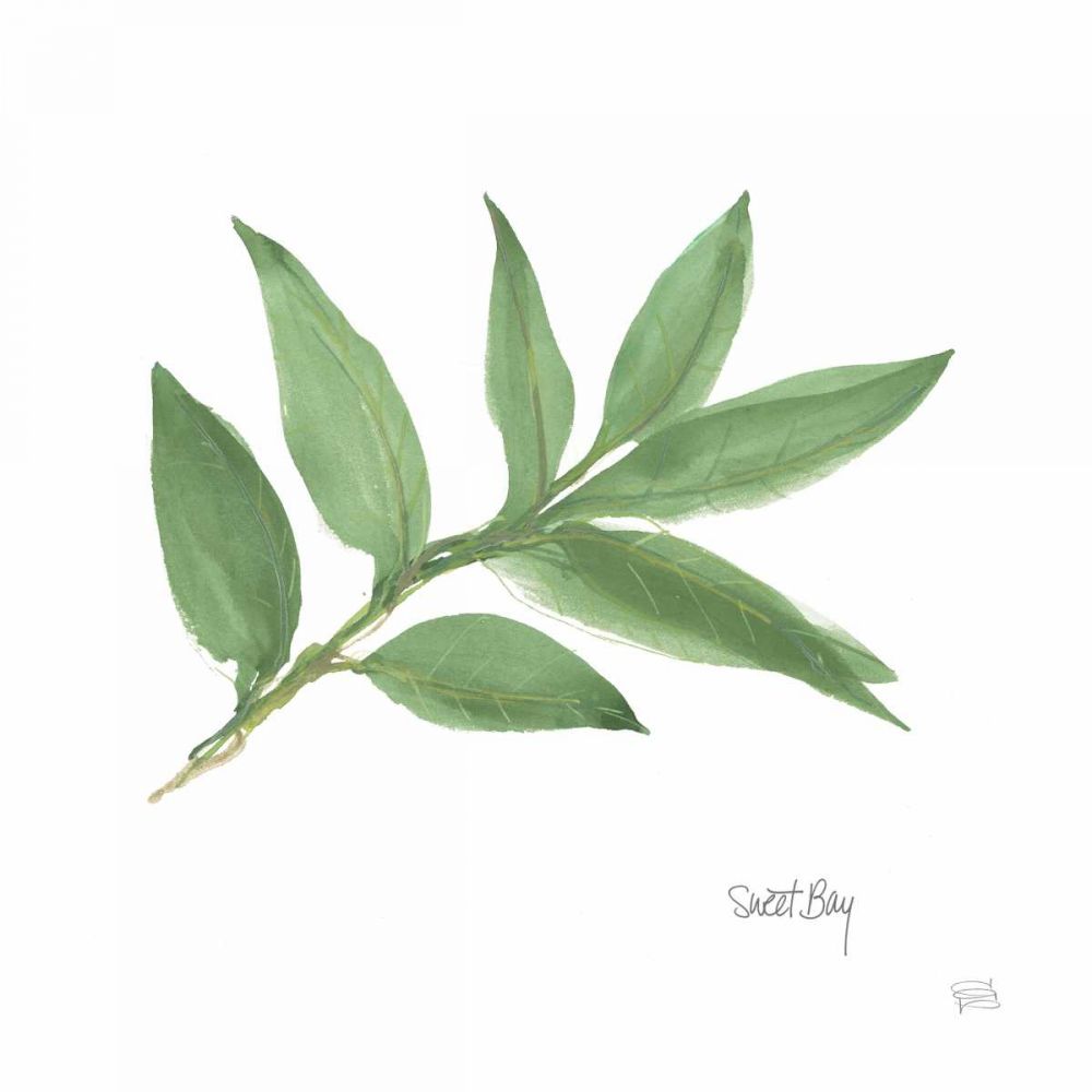 Sweet Bay v2 art print by Chris Paschke for $57.95 CAD