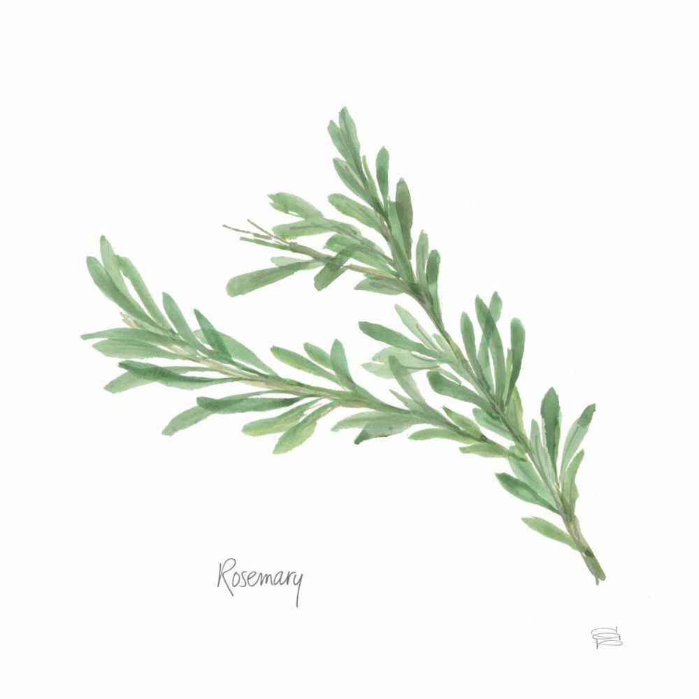 Rosemary v2 art print by Chris Paschke for $57.95 CAD