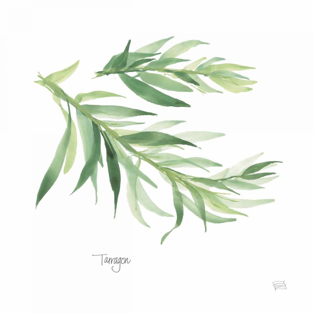 Tarragon v2 art print by Chris Paschke for $57.95 CAD