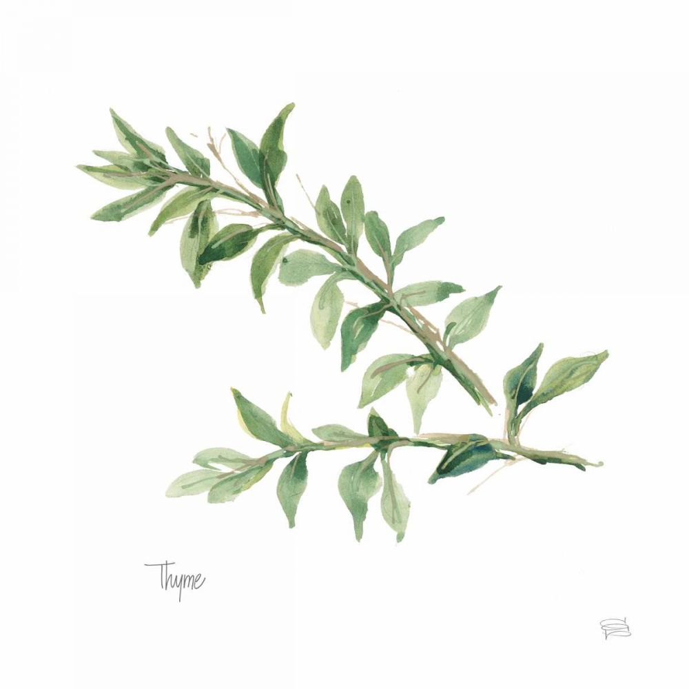 Thyme v2 art print by Chris Paschke for $57.95 CAD