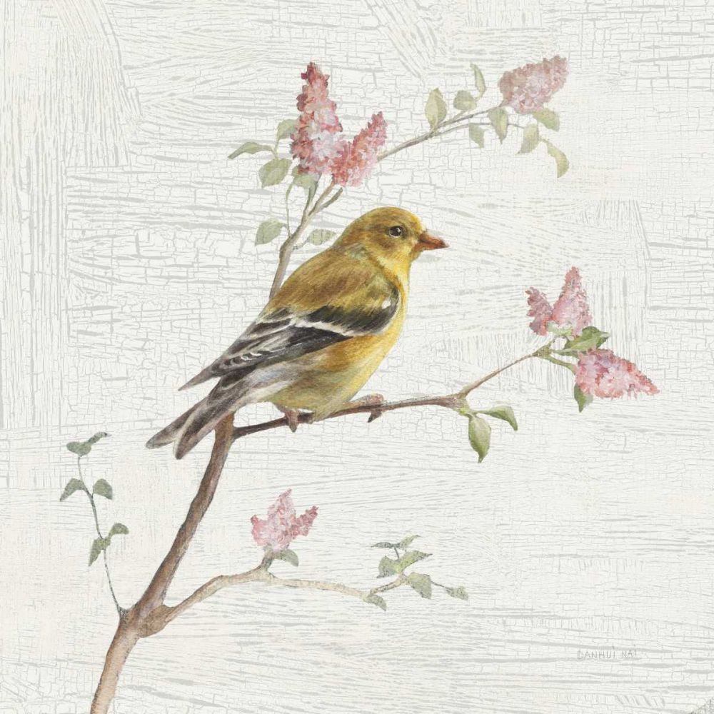 Female Goldfinch Vintage art print by Danhui Nai for $57.95 CAD