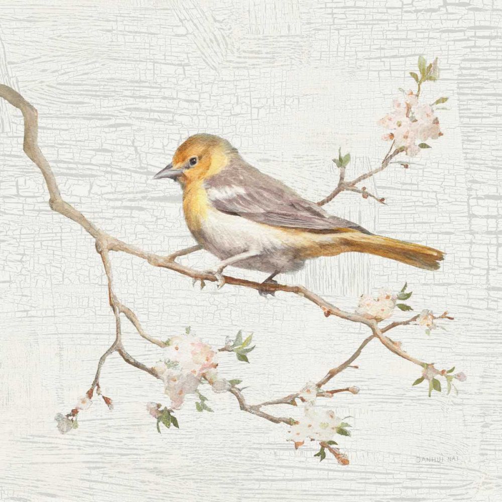 Northern Oriole Vintage art print by Danhui Nai for $57.95 CAD
