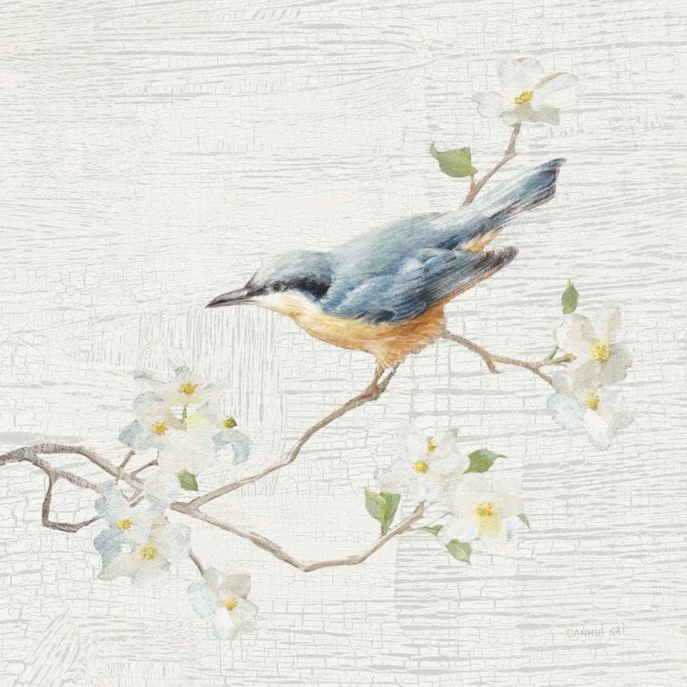 Nuthatch Vintage art print by Danhui Nai for $57.95 CAD