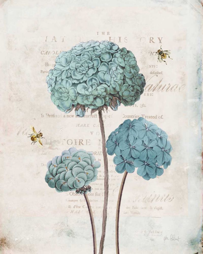 Geranium Study I art print by Katie Pertiet for $57.95 CAD