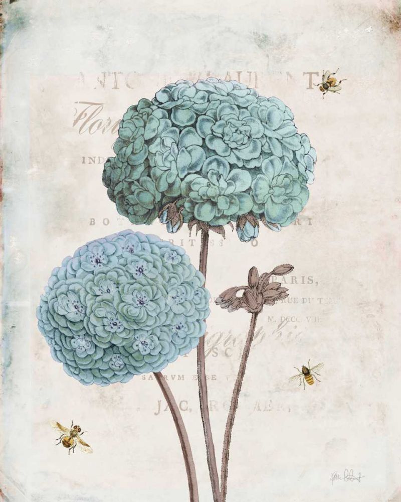 Geranium Study II art print by Katie Pertiet for $57.95 CAD