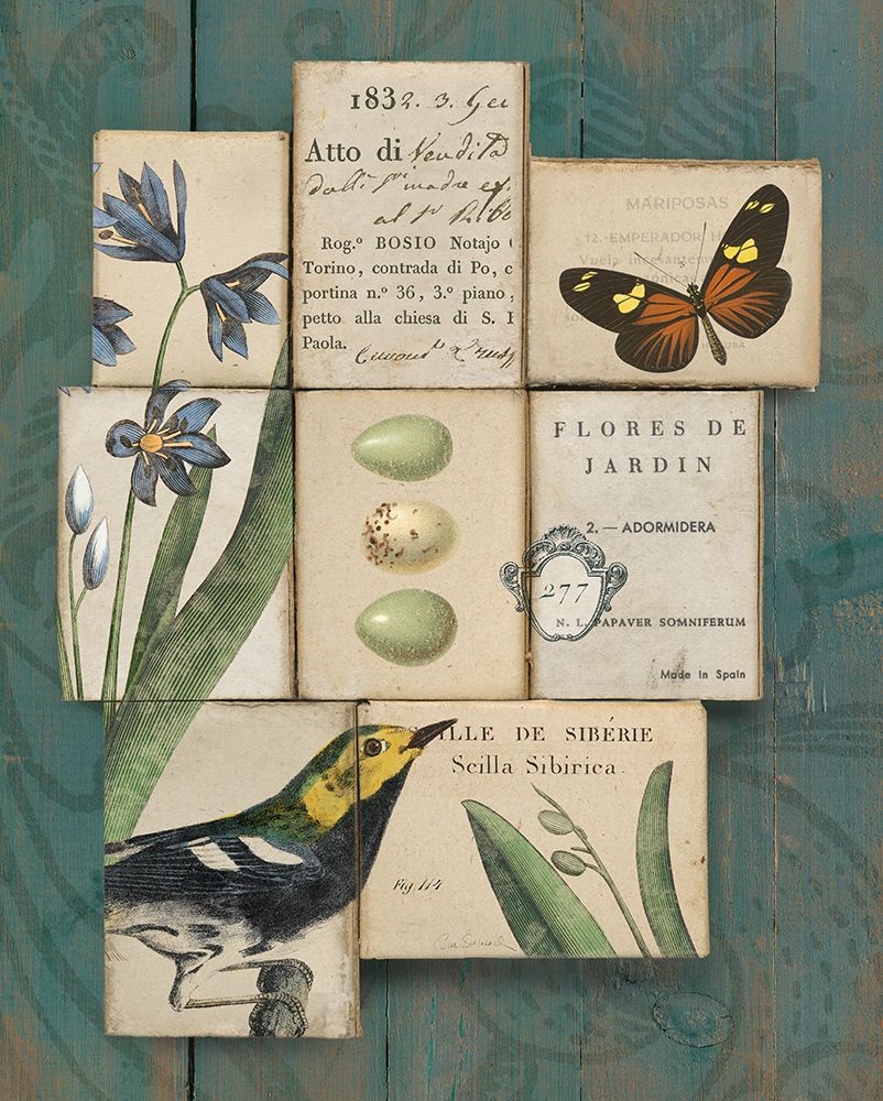 Birds and Butterflies I art print by Sue Schlabach for $57.95 CAD