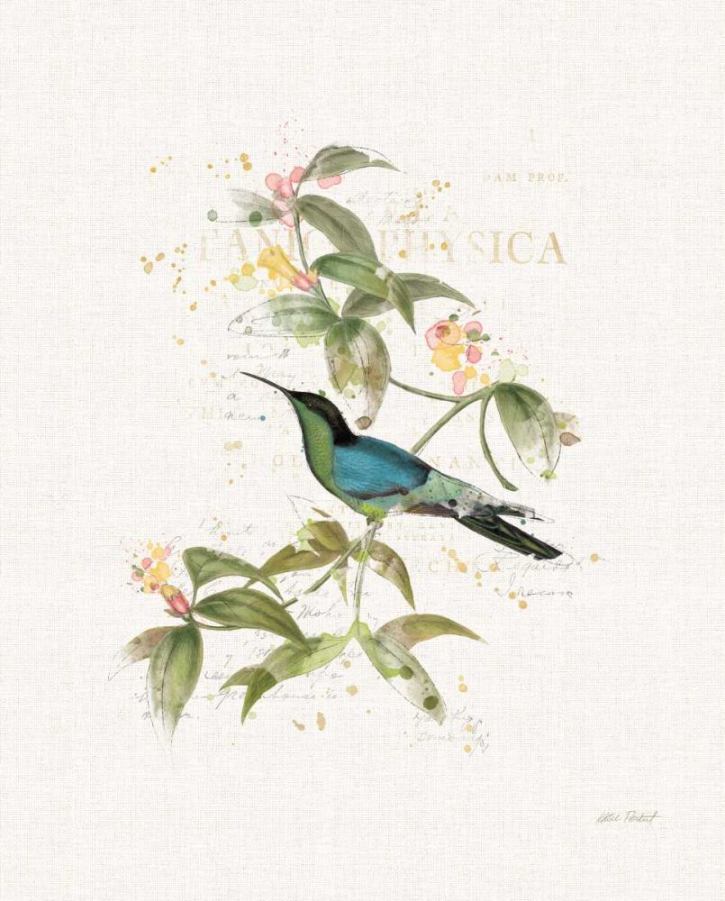 Colorful Hummingbirds IV art print by Katie Pertiet for $57.95 CAD