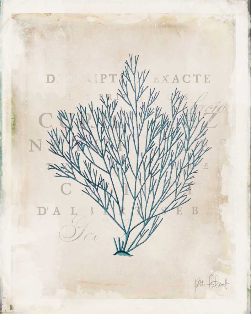 Sea Garden II art print by Katie Pertiet for $57.95 CAD