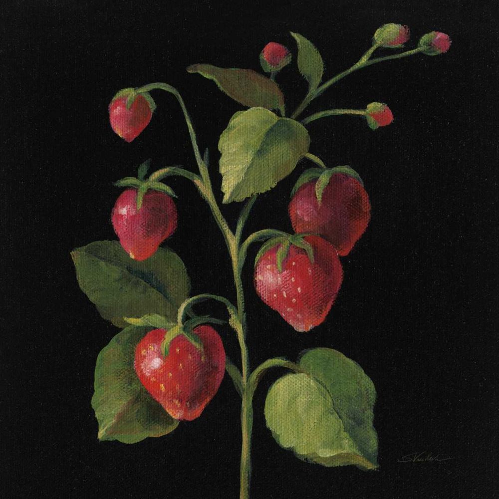 Fraise no Words art print by Silvia Vassileva for $57.95 CAD