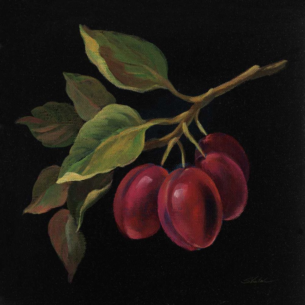 Prune no Words art print by Silvia Vassileva for $57.95 CAD