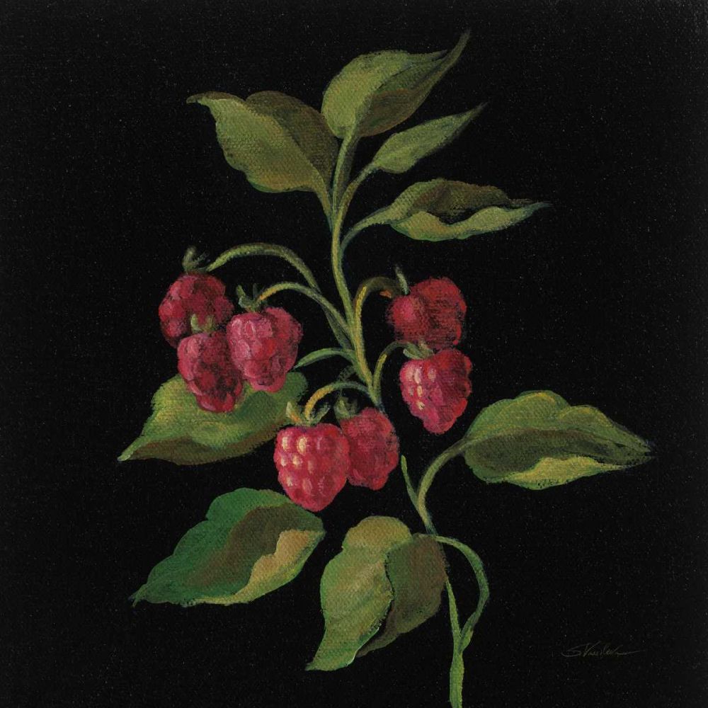 Framboise no Words art print by Silvia Vassileva for $57.95 CAD