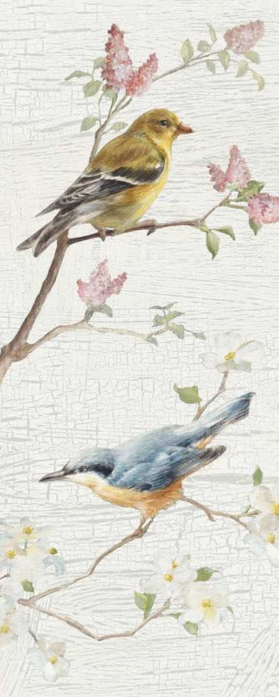 Vintage Birds Panel I art print by Danhui Nai for $57.95 CAD