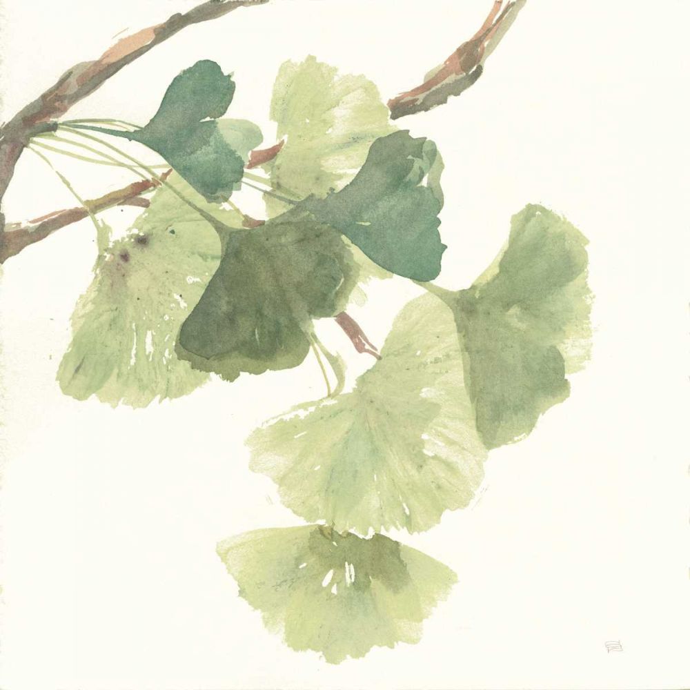 Gingko Leaves I Light art print by Chris Paschke for $57.95 CAD
