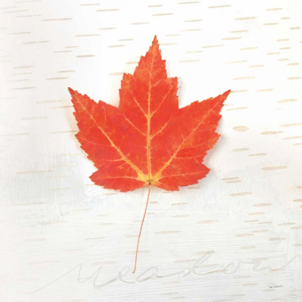 Autumn Colors I art print by Sue Schlabach for $57.95 CAD