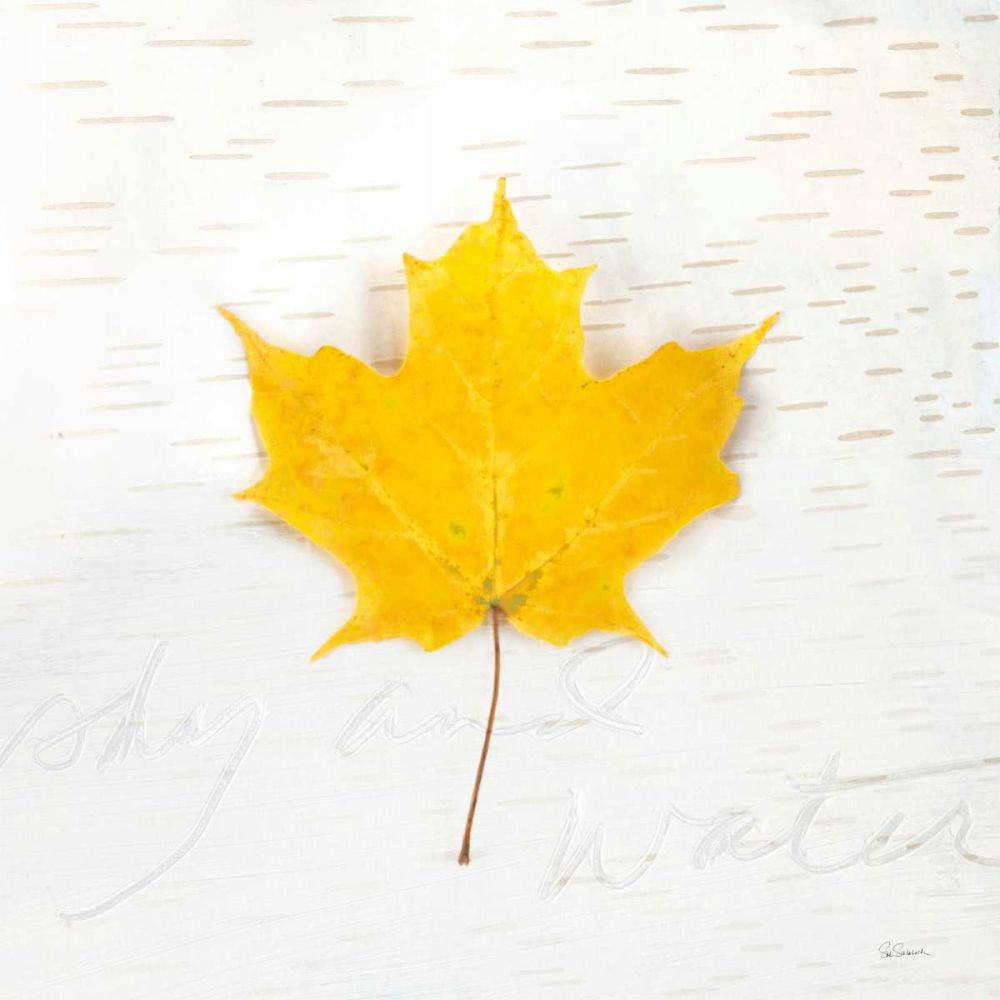 Autumn Colors II art print by Sue Schlabach for $57.95 CAD