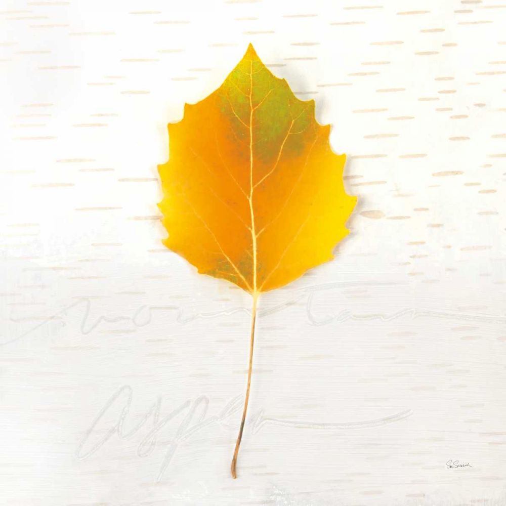Autumn Colors III art print by Sue Schlabach for $57.95 CAD