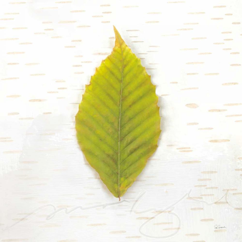 Autumn Colors IV art print by Sue Schlabach for $57.95 CAD