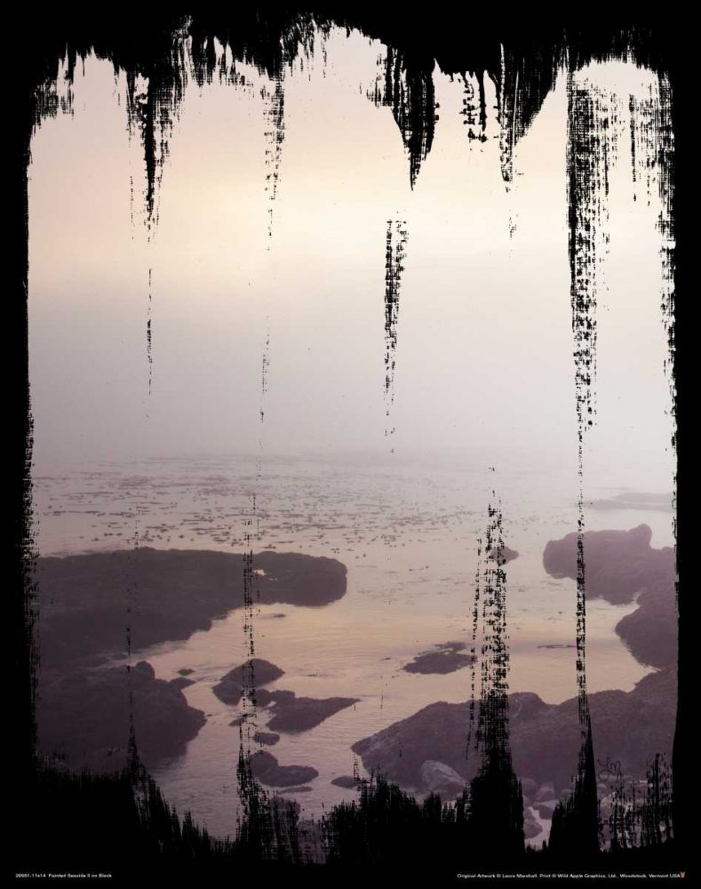 Painted Seaside II on Black art print by Laura Marshall for $57.95 CAD