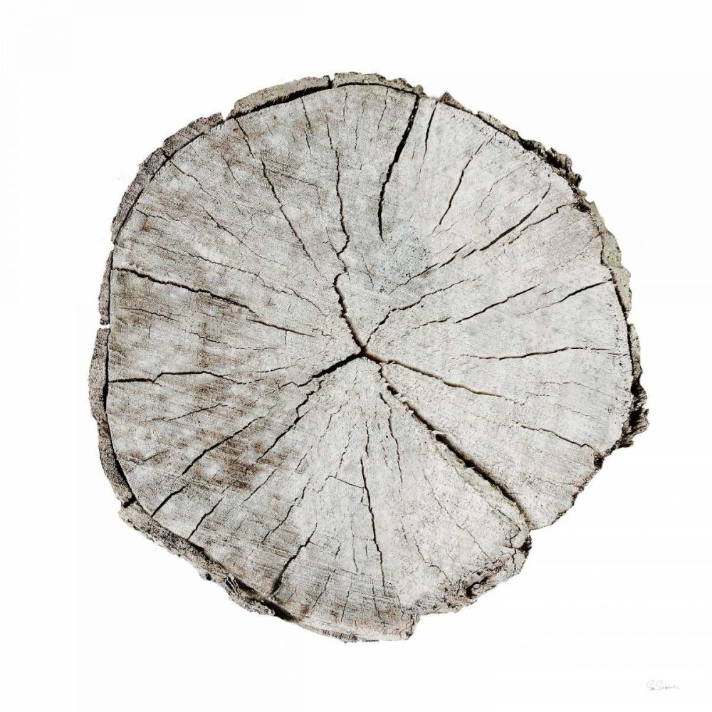 Woodland Years I on White art print by Sue Schlabach for $57.95 CAD