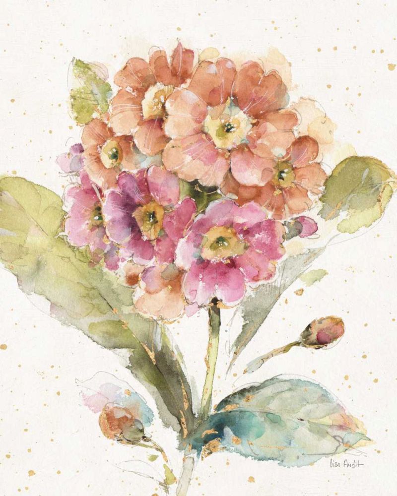 Country Bloom III art print by Lisa Audit for $57.95 CAD