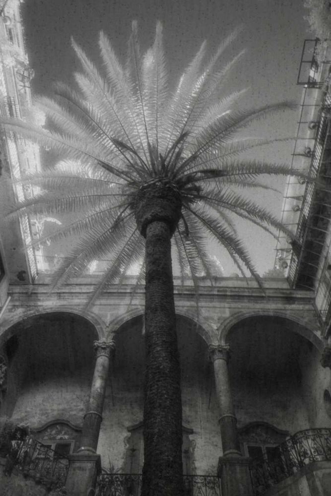 Palermo art print by Jim Dratfield for $57.95 CAD