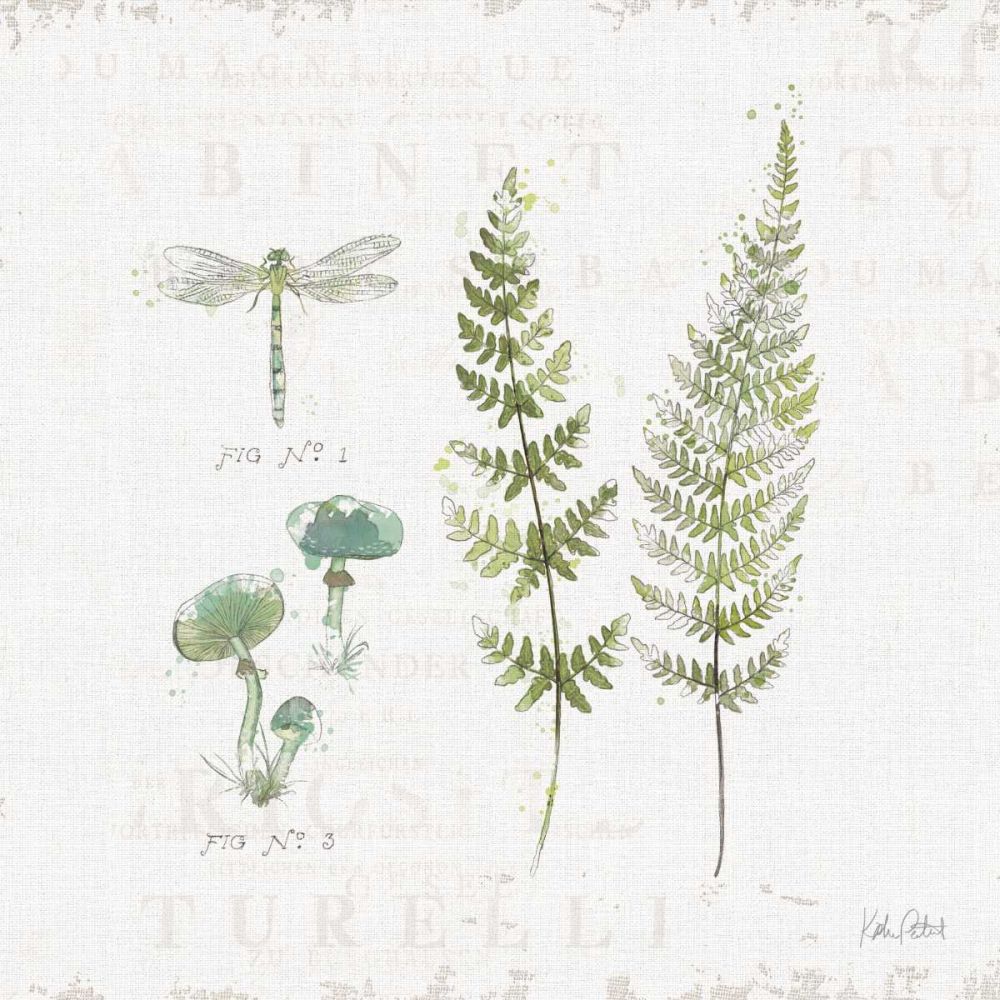 In the Forest VI art print by Katie Pertiet for $57.95 CAD