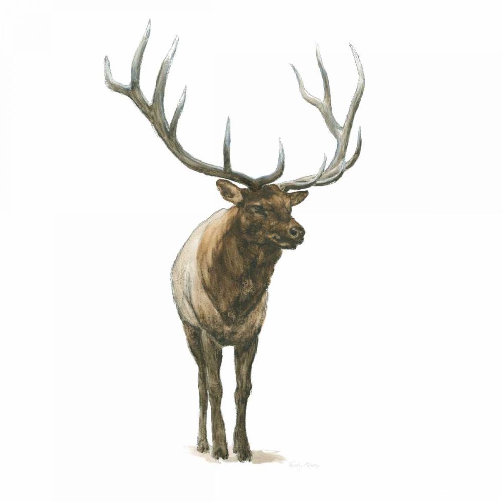 Natural Majesty I art print by Emily Adams for $57.95 CAD