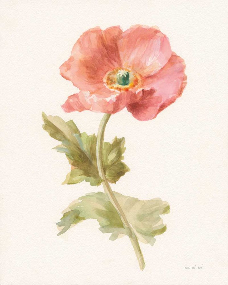Garden Poppy art print by Danhui Nai for $57.95 CAD