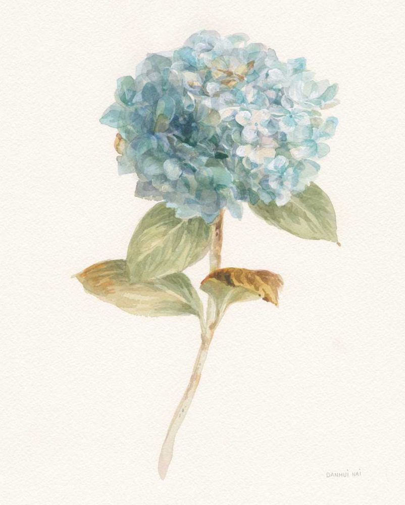 Garden Hydrangea art print by Danhui Nai for $57.95 CAD