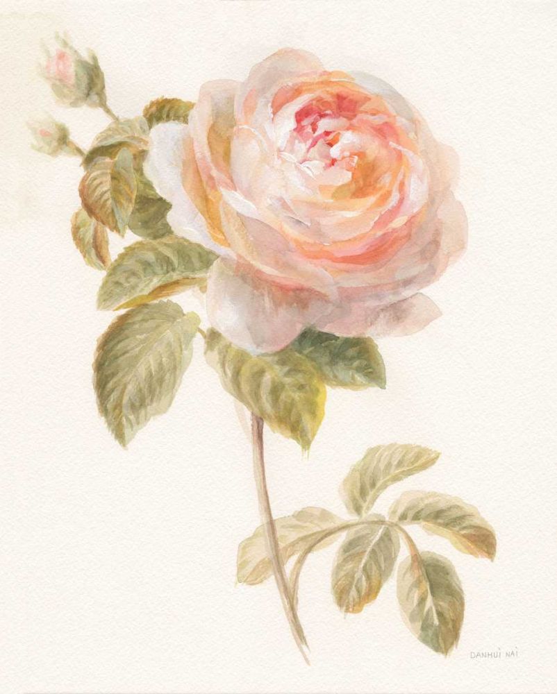 Garden Rose art print by Danhui Nai for $57.95 CAD