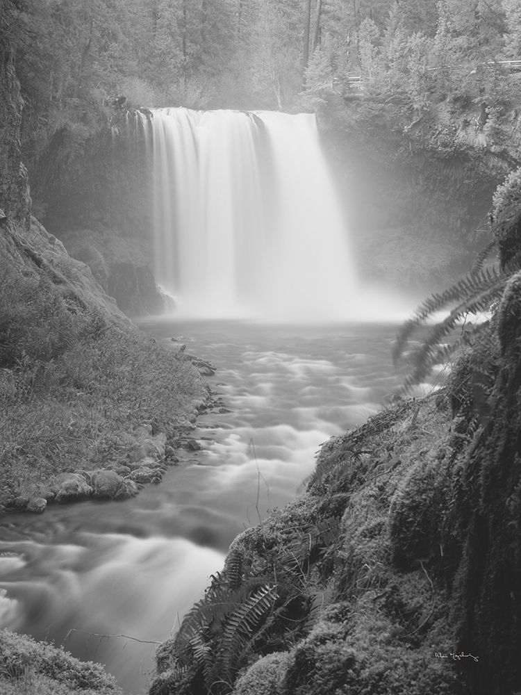 Koosah Falls art print by Alan Majchrowicz for $57.95 CAD