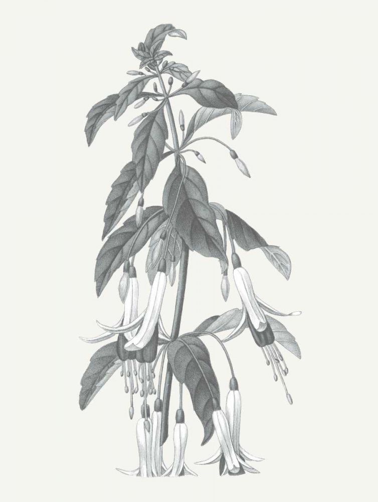 Neutral Botanical I art print by Wild Apple Portfolio for $57.95 CAD