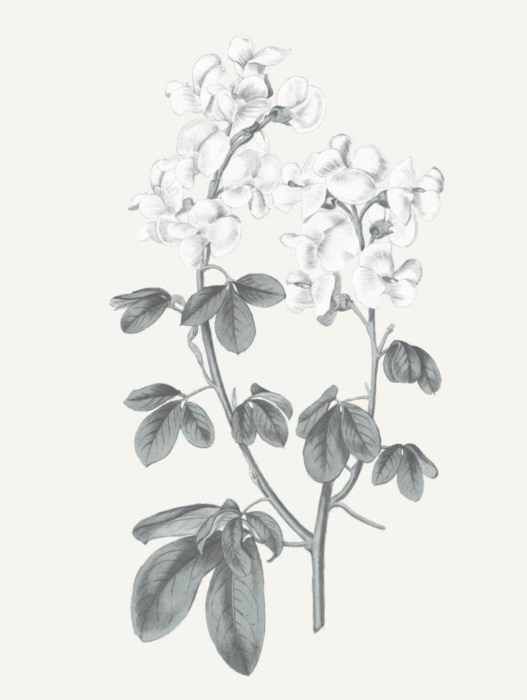 Neutral Botanical III art print by Wild Apple Portfolio for $57.95 CAD